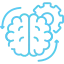 brain